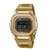 G-shock Gold Metal Watch
